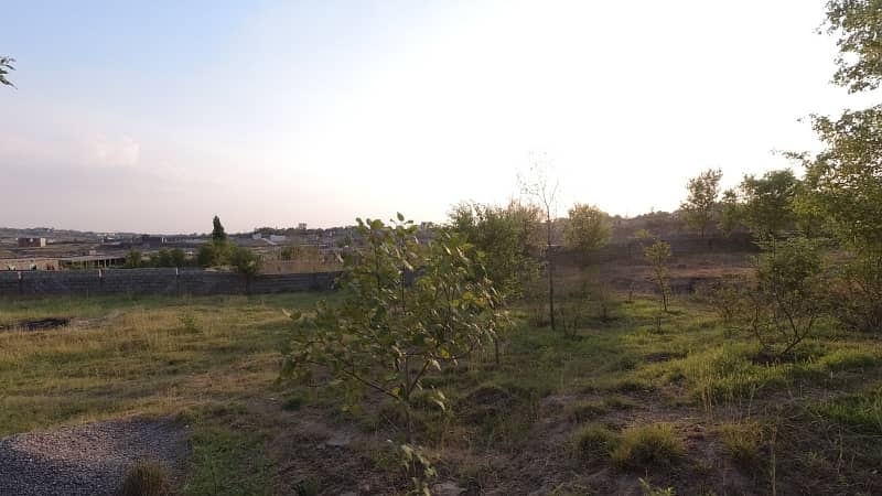 5 Kanal Farm House Land For Sale On Reasonable Price 4