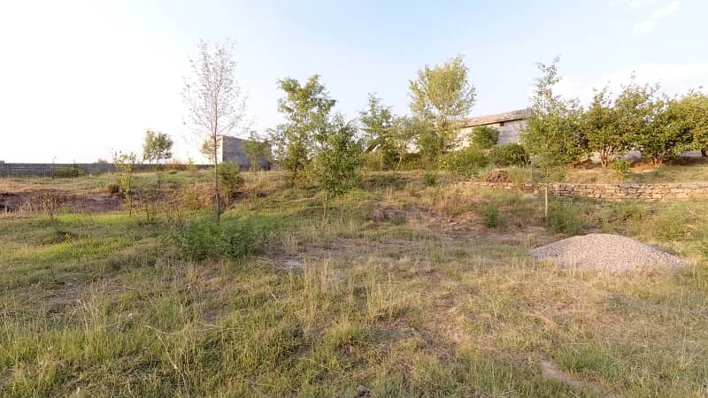 5 Kanal Farm House Land For Sale On Reasonable Price 5