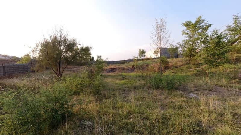 5 Kanal Farm House Land For Sale On Reasonable Price 6