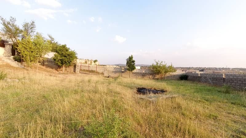 5 Kanal Farm House Land For Sale On Reasonable Price 7