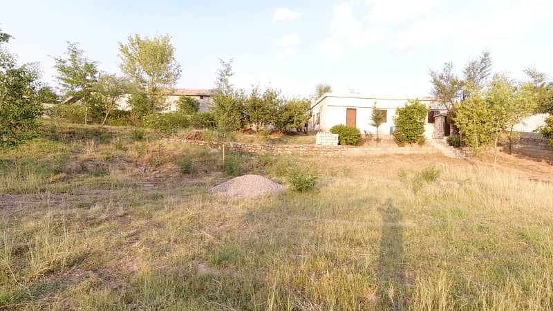 5 Kanal Farm House Land For Sale On Reasonable Price 8