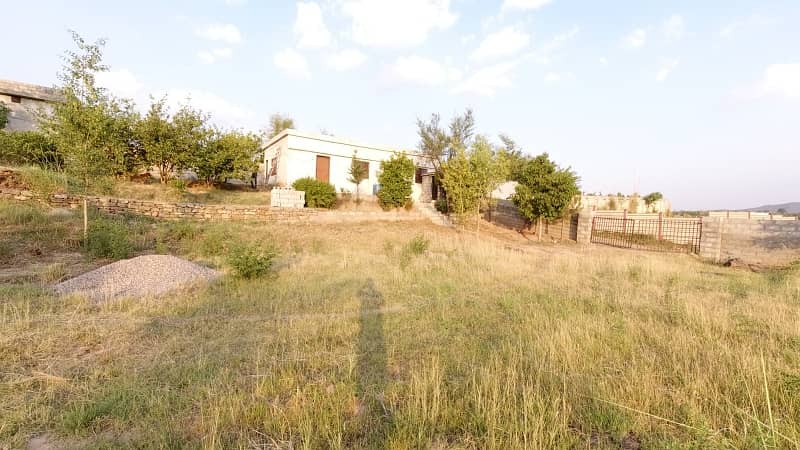 5 Kanal Farm House Land For Sale On Reasonable Price 9