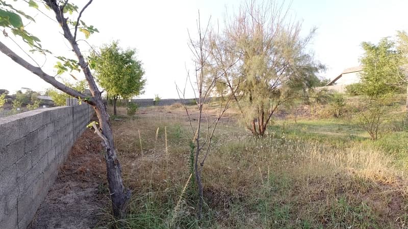 5 Kanal Farm House Land For Sale On Reasonable Price 10