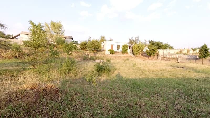 5 Kanal Farm House Land For Sale On Reasonable Price 11