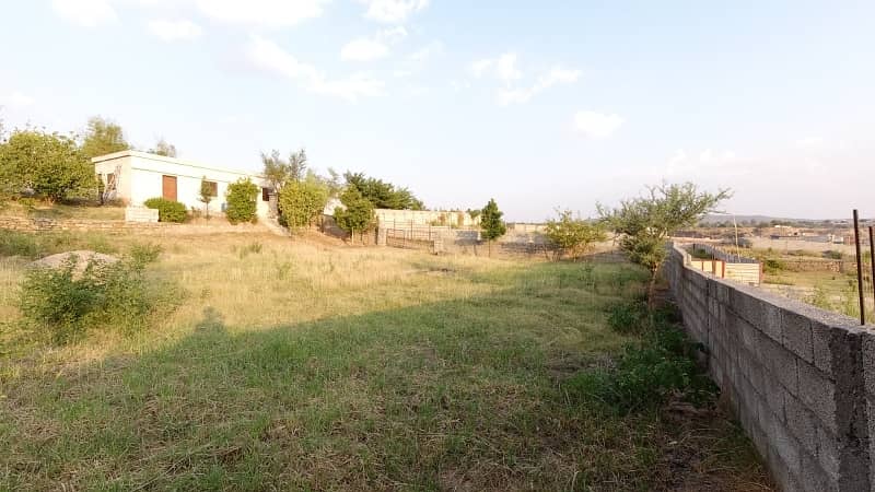 5 Kanal Farm House Land For Sale On Reasonable Price 12