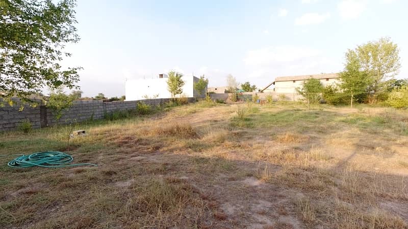 5 Kanal Farm House Land For Sale On Reasonable Price 13