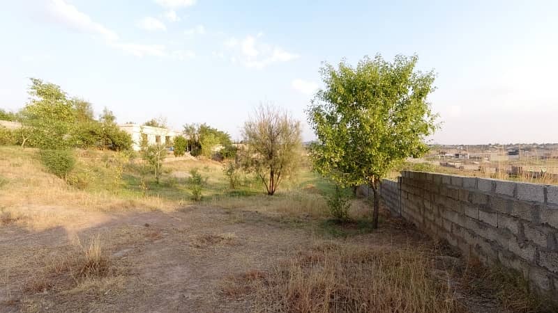 5 Kanal Farm House Land For Sale On Reasonable Price 14