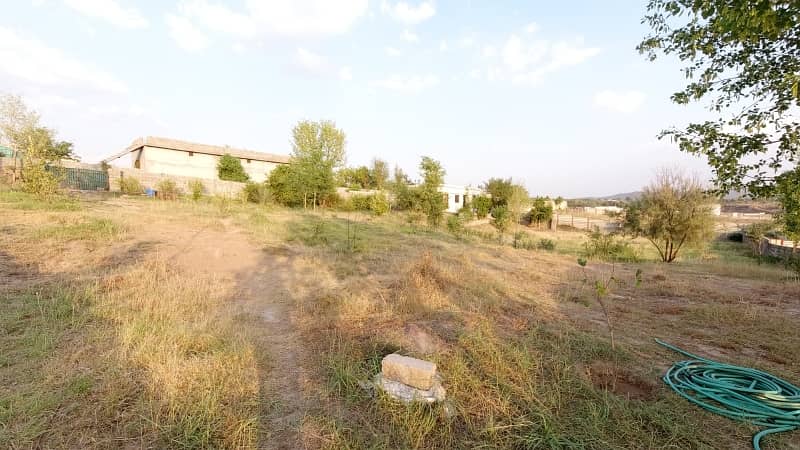 5 Kanal Farm House Land For Sale On Reasonable Price 17