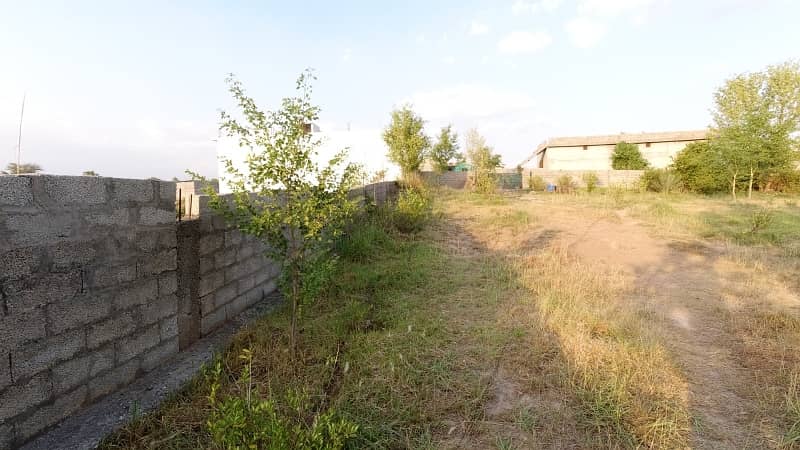 5 Kanal Farm House Land For Sale On Reasonable Price 19