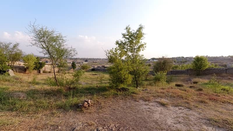 5 Kanal Farm House Land For Sale On Reasonable Price 23