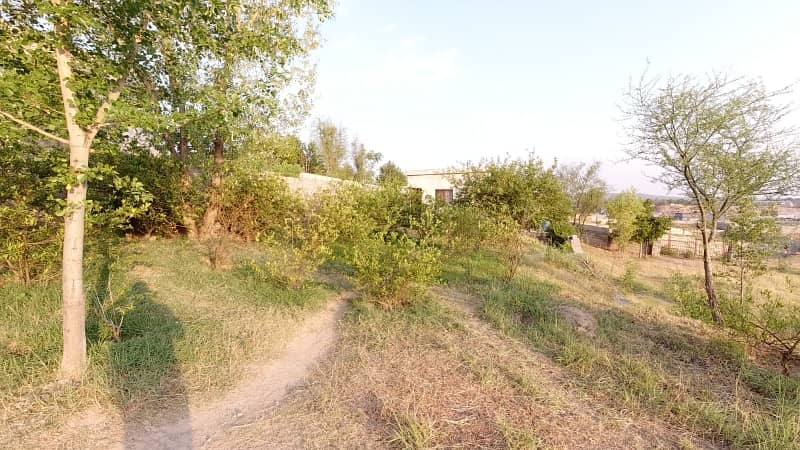 5 Kanal Farm House Land For Sale On Reasonable Price 24