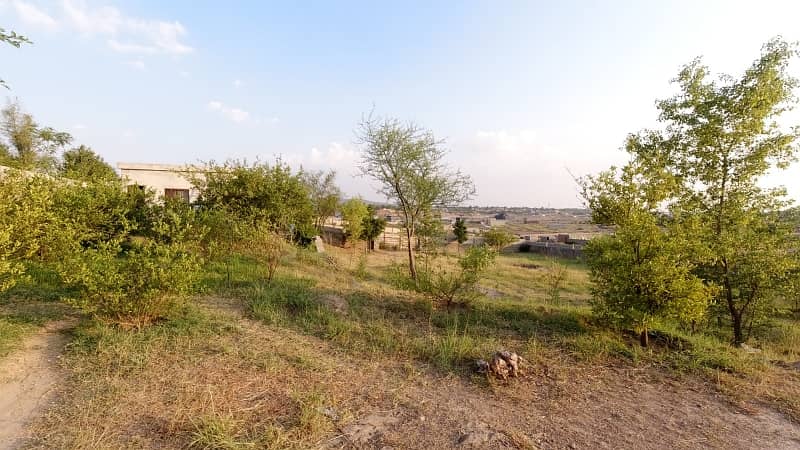 5 Kanal Farm House Land For Sale On Reasonable Price 25