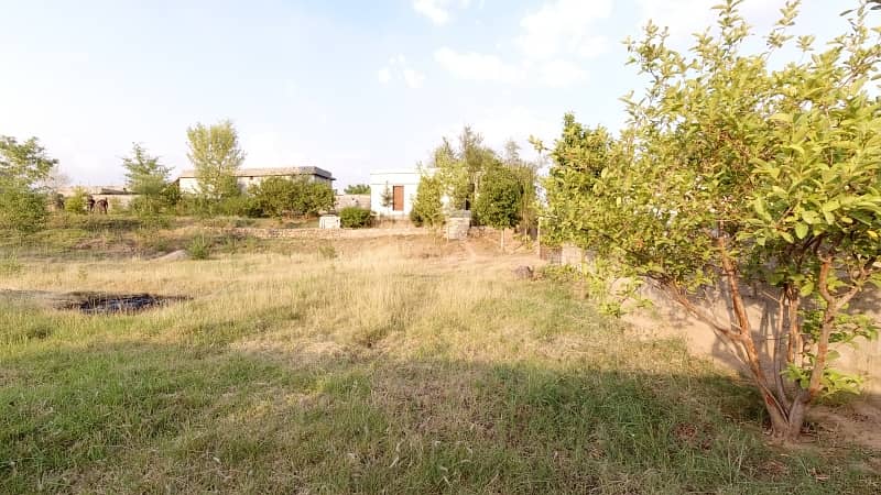 5 Kanal Farm House Land For Sale On Reasonable Price 29