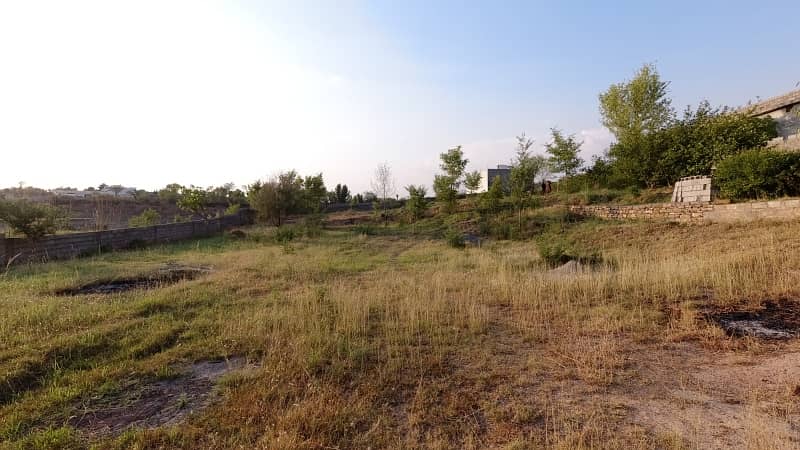 5 Kanal Farm House Land For Sale On Reasonable Price 30