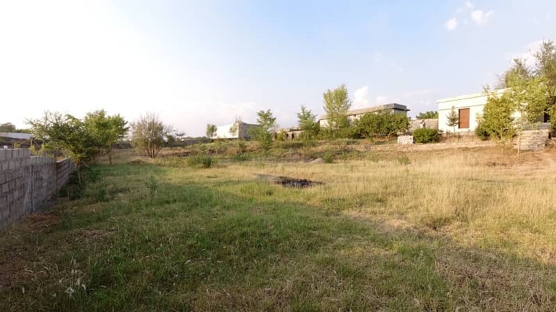 5 Kanal Farm House Land For Sale On Reasonable Price 31