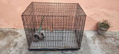 Raw Parrot Cage for Breeding Purpose