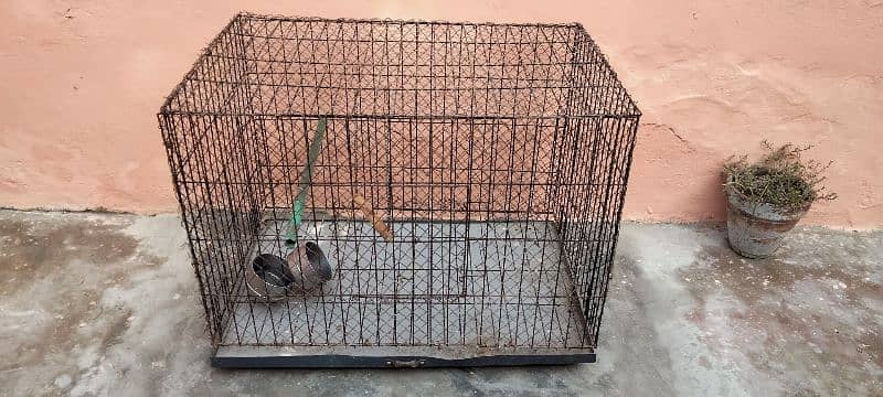 Raw Parrot Cage for Breeding Purpose 0