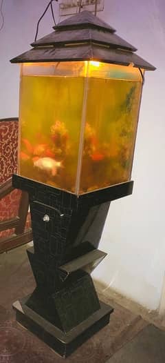 Fish Aquarium Good Condition