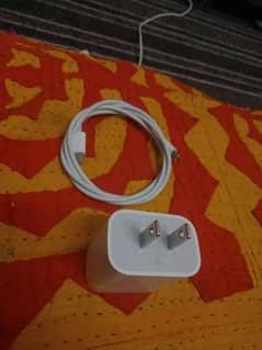 apple original charger with cable !