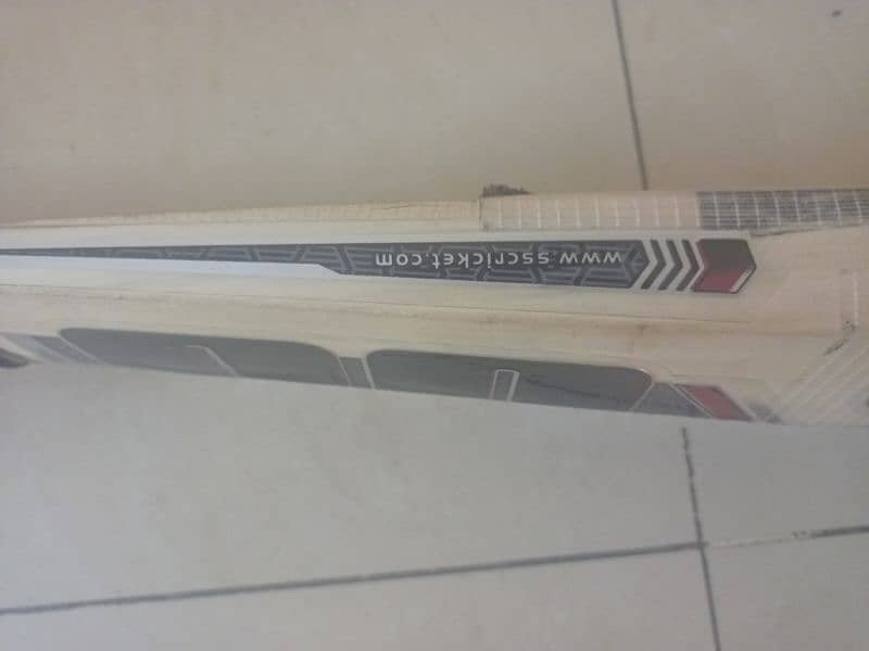 SS hard ball bat 2