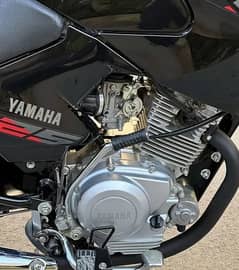 Yamaha YBR 125 2024-Total Geniuene Condition