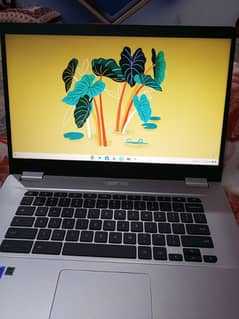 Laptop Chromebook