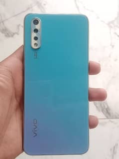 vivo