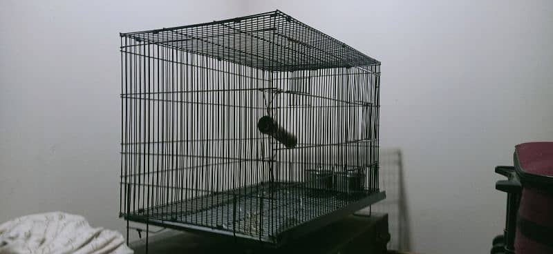 bird cage 1