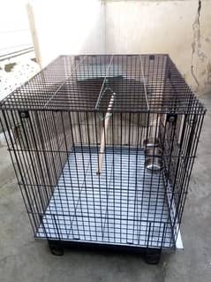 Big size cage ring neck and Pahari gry parrot ke liye h