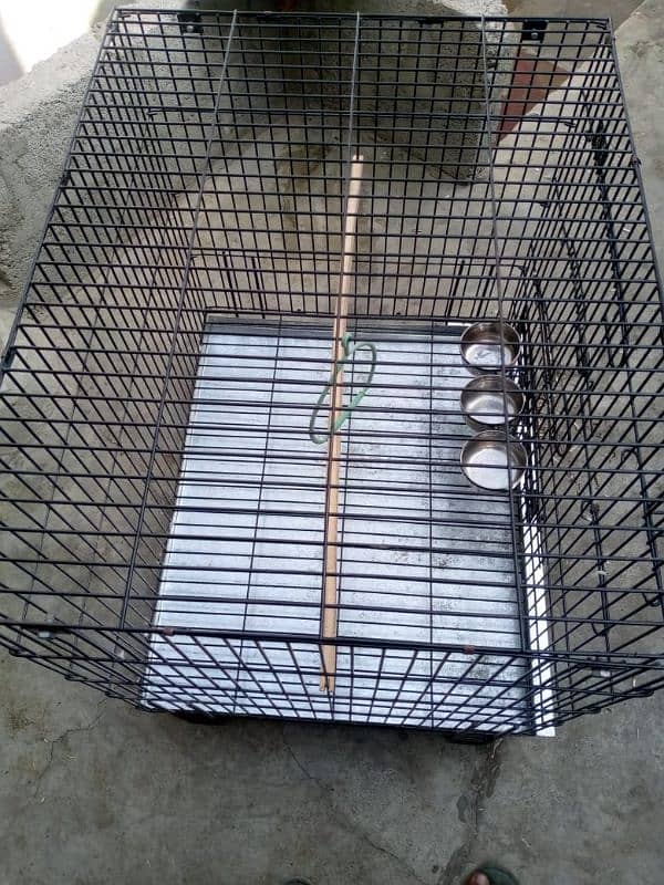 Big size cage ring neck and Pahari gry parrot ke liye h 3