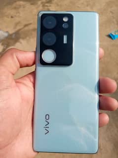 vivo