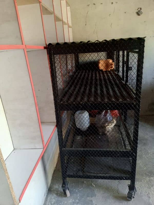 Hen cave for poultry shop 1