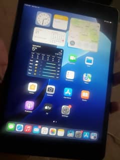 iPad mini 5 read ad