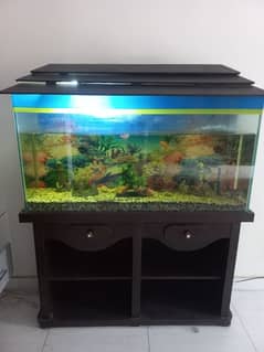 Fish with Aquarium