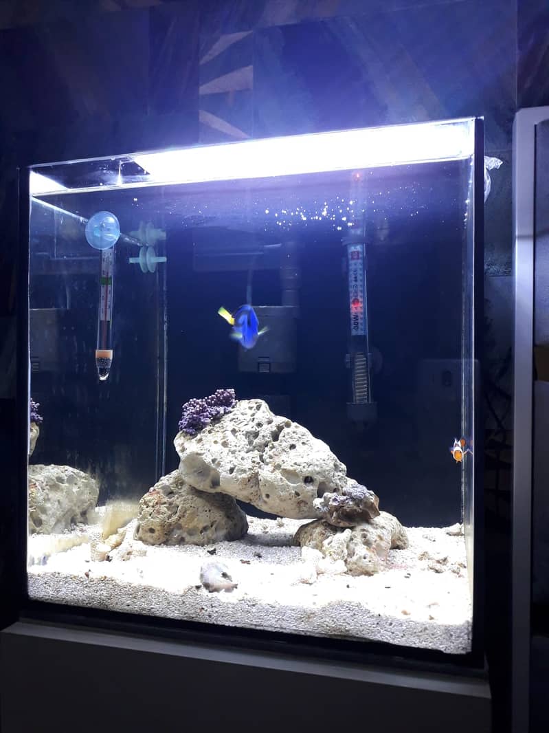 nano marine tank cube shape 0