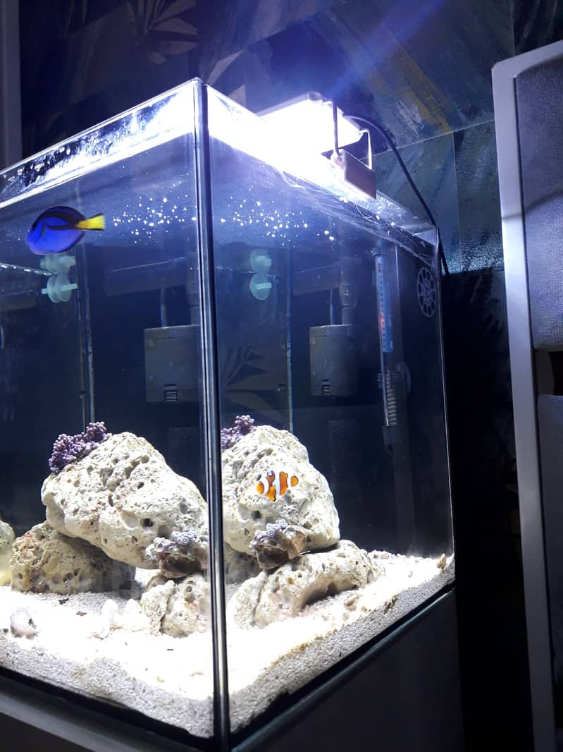 nano marine tank cube shape 1