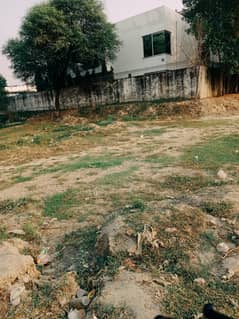 Plot for rent on main road johar town For Restaurant And cafe good location hot point