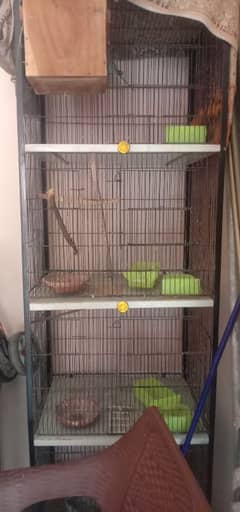 parrot cage