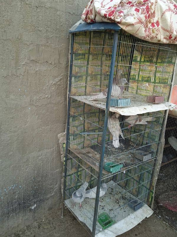 cage for sale 1