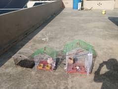 1 month used 3 parrot/bird cages big cages mint condition urgent sale