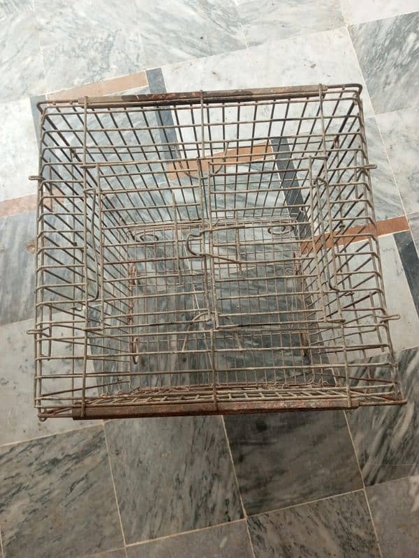 Bird cage 1