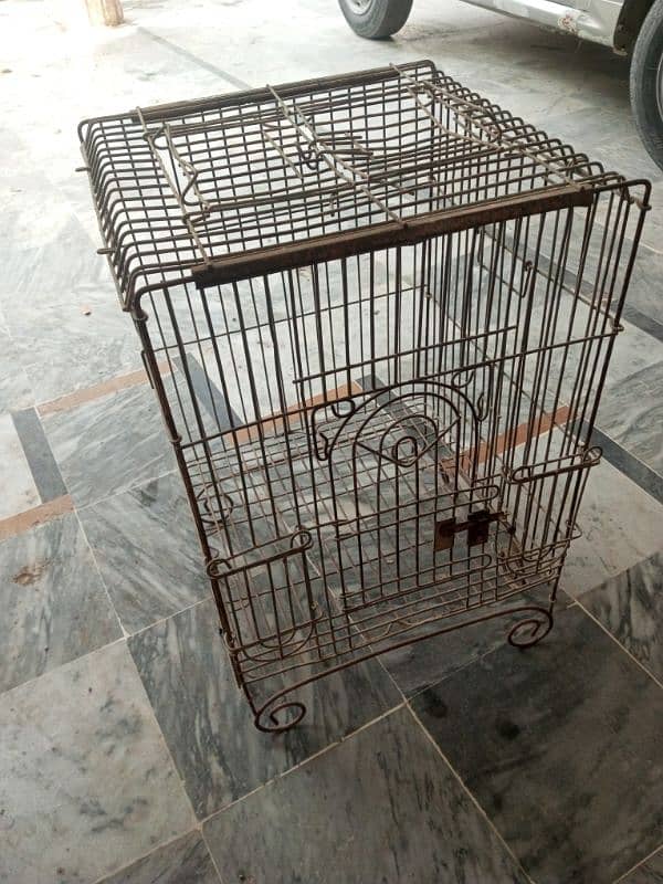 Bird cage 2