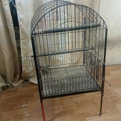 Parrot Cage For Mackao, Green parrots, and Grey parrot