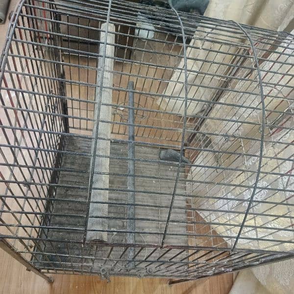 Parrot Cage For Mackao, Green parrots, and Grey parrot 2