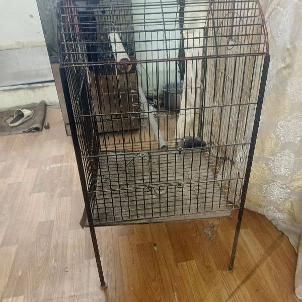 Parrot Cage For Mackao, Green parrots, and Grey parrot 3