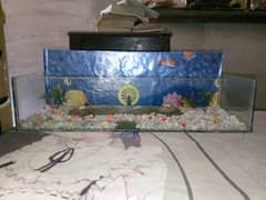 fish aquarium with decoration