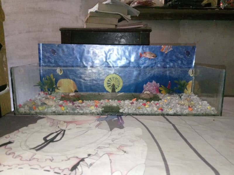 fish aquarium with decoration 0