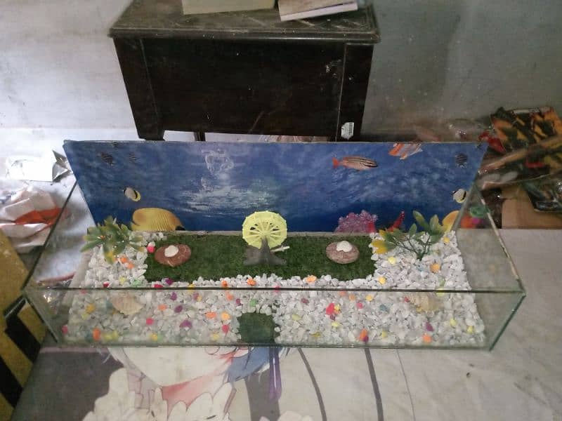 fish aquarium with decoration 1