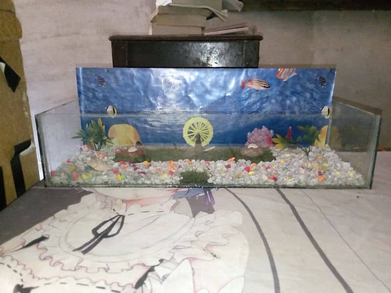 fish aquarium with decoration 2