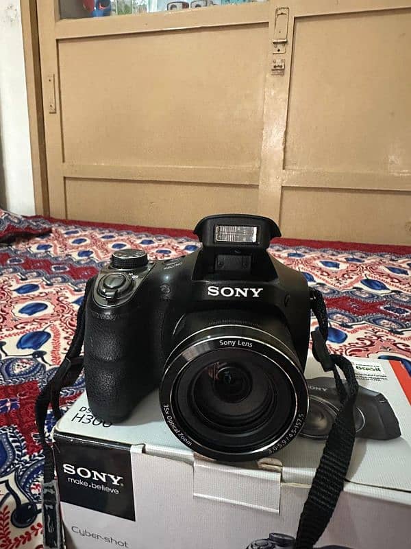 sony DSC-H300 1